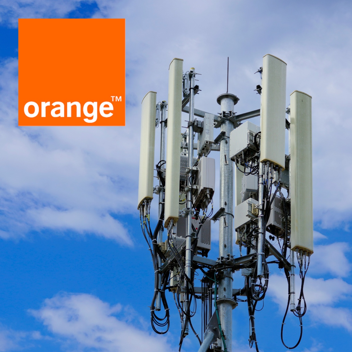 Orange szykuje się na wakacje. Operator zwiększa pojemność i zasięg