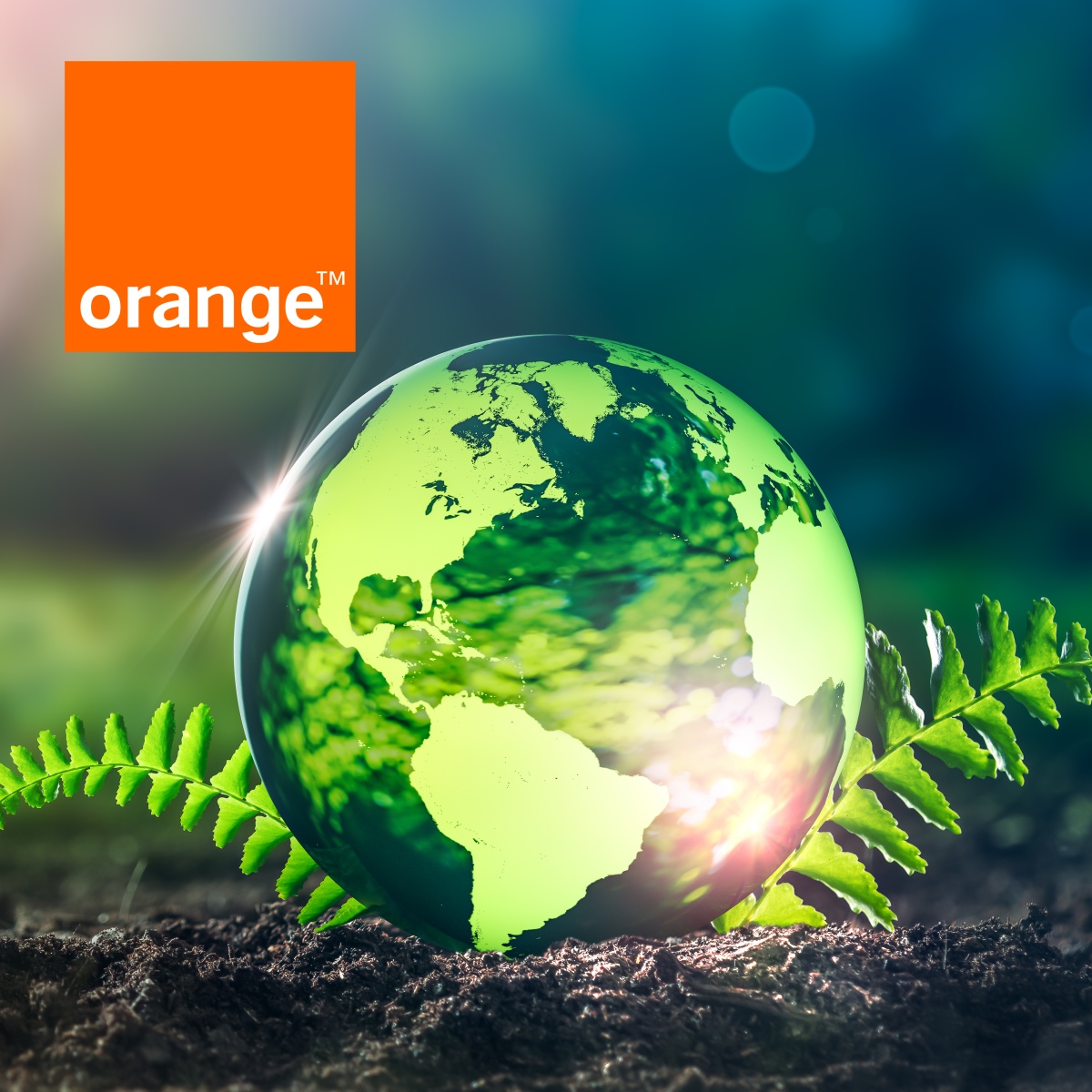 Orange oszczędza energię i zachęca do tego swoich klientów