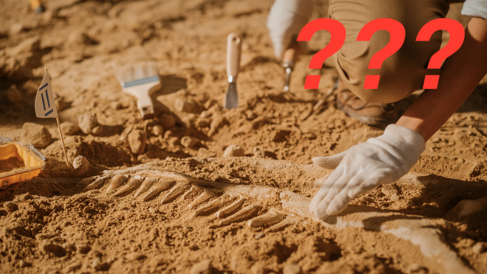 Archeologiczny hit. Oto najstarsza zabawka erotyczna