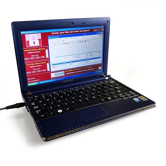 Laptop z groźnymi wirusami trafił na sprzedaż. Cena przekroczyła 1,3 mln dolarów