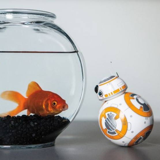 Roboty edukacyjne Star Wars mogą być dobrym prezentem dla dziecka