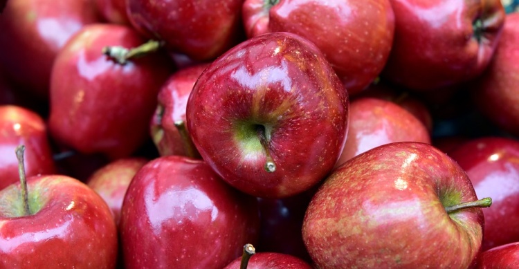 Wyniki Apple'a za 3Q2019 - jabłka dobrze obrodziły