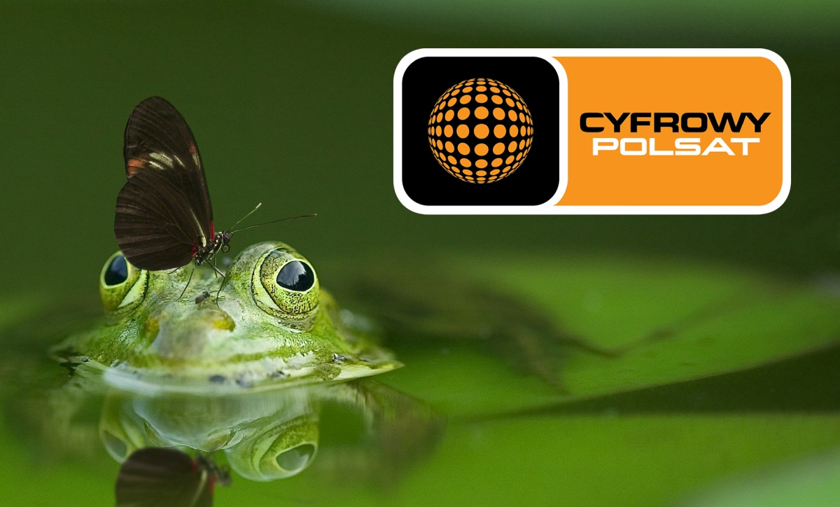 Cyfrowy Polsat logo - zielona żaba