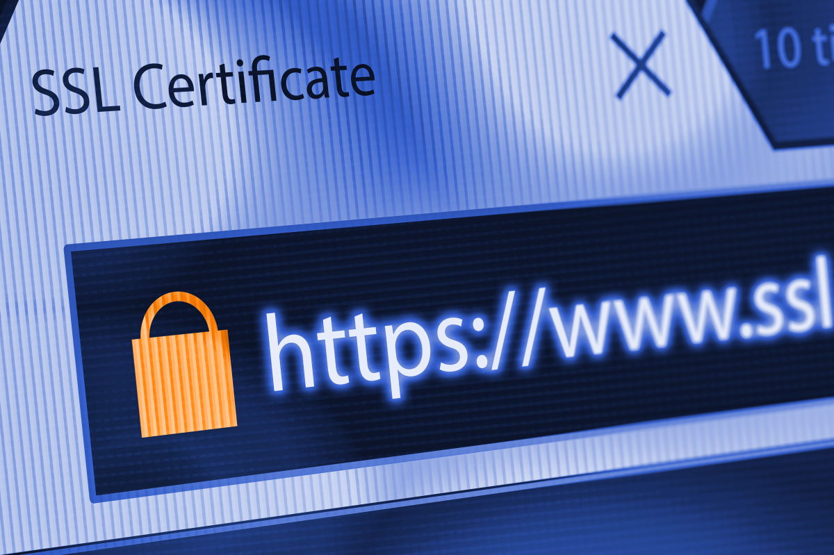 Szukasz certyfikatu SSL dla domeny? Zobacz, jak zabezpieczyć swoją stronę WWW