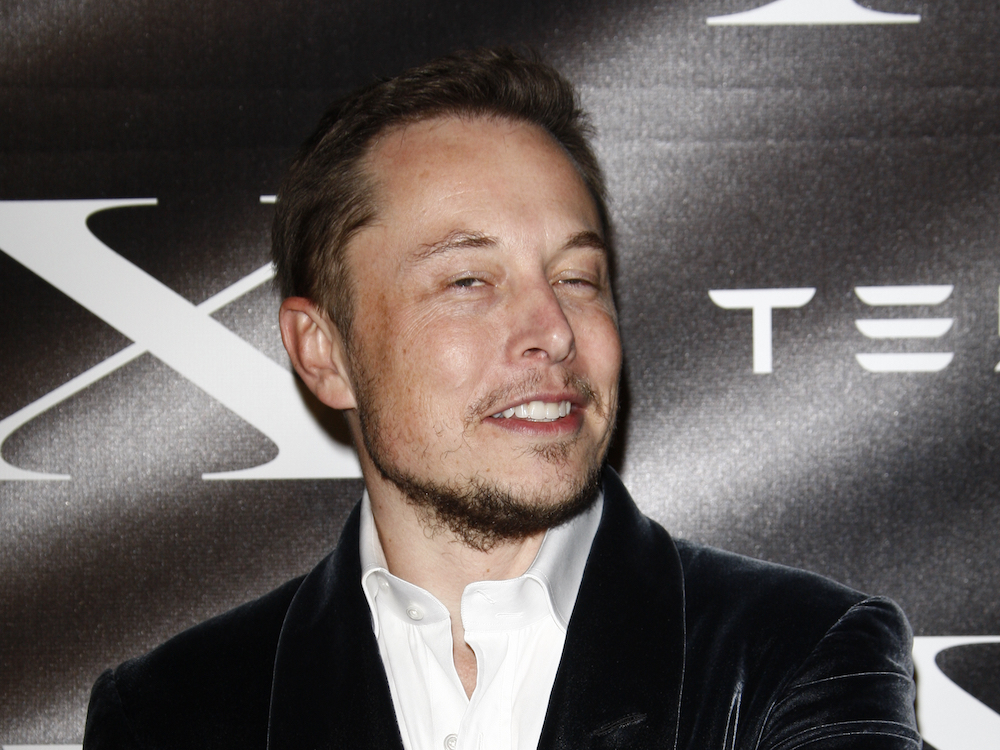 Elon Musk dostaje kota. W przenośni i dosłownie