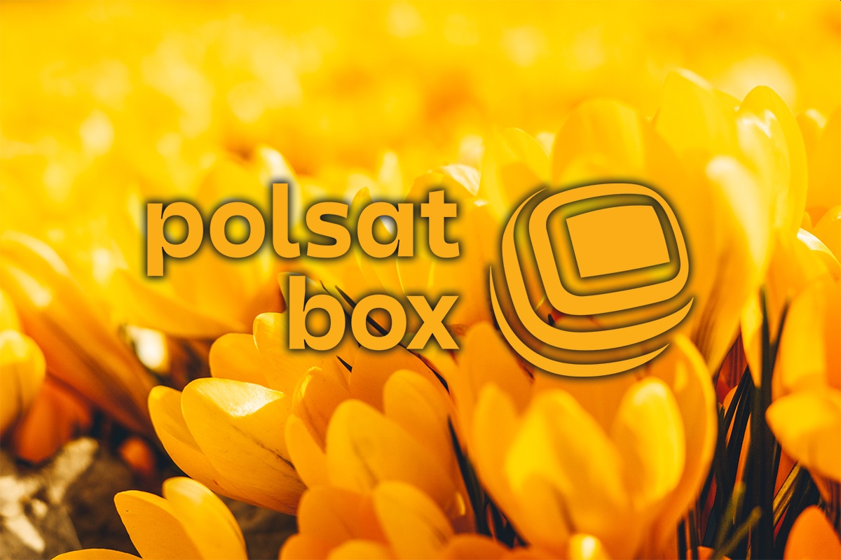 Polsat Box otwarte okno wiosna 2022