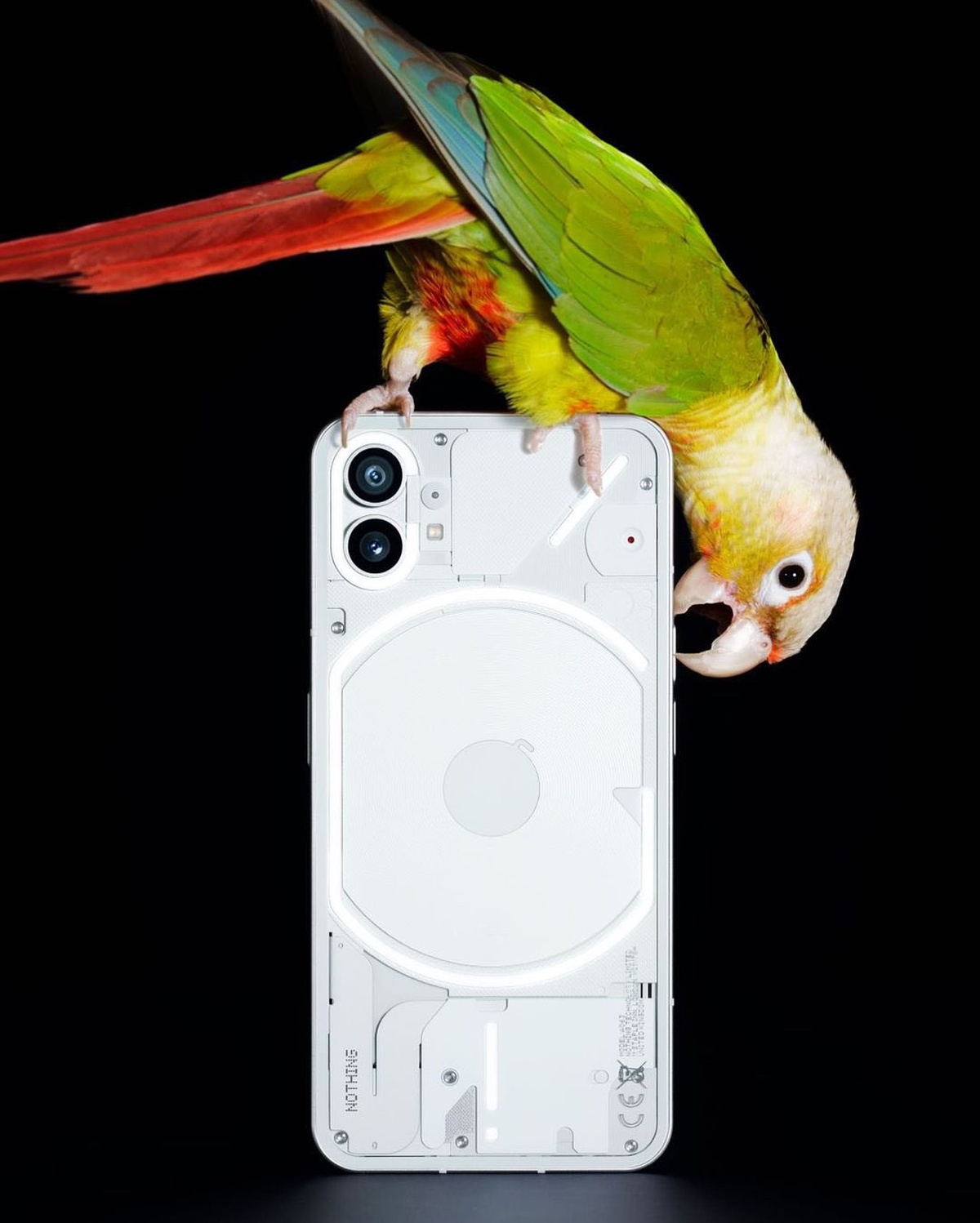 Nothing Phone (1) papuga
