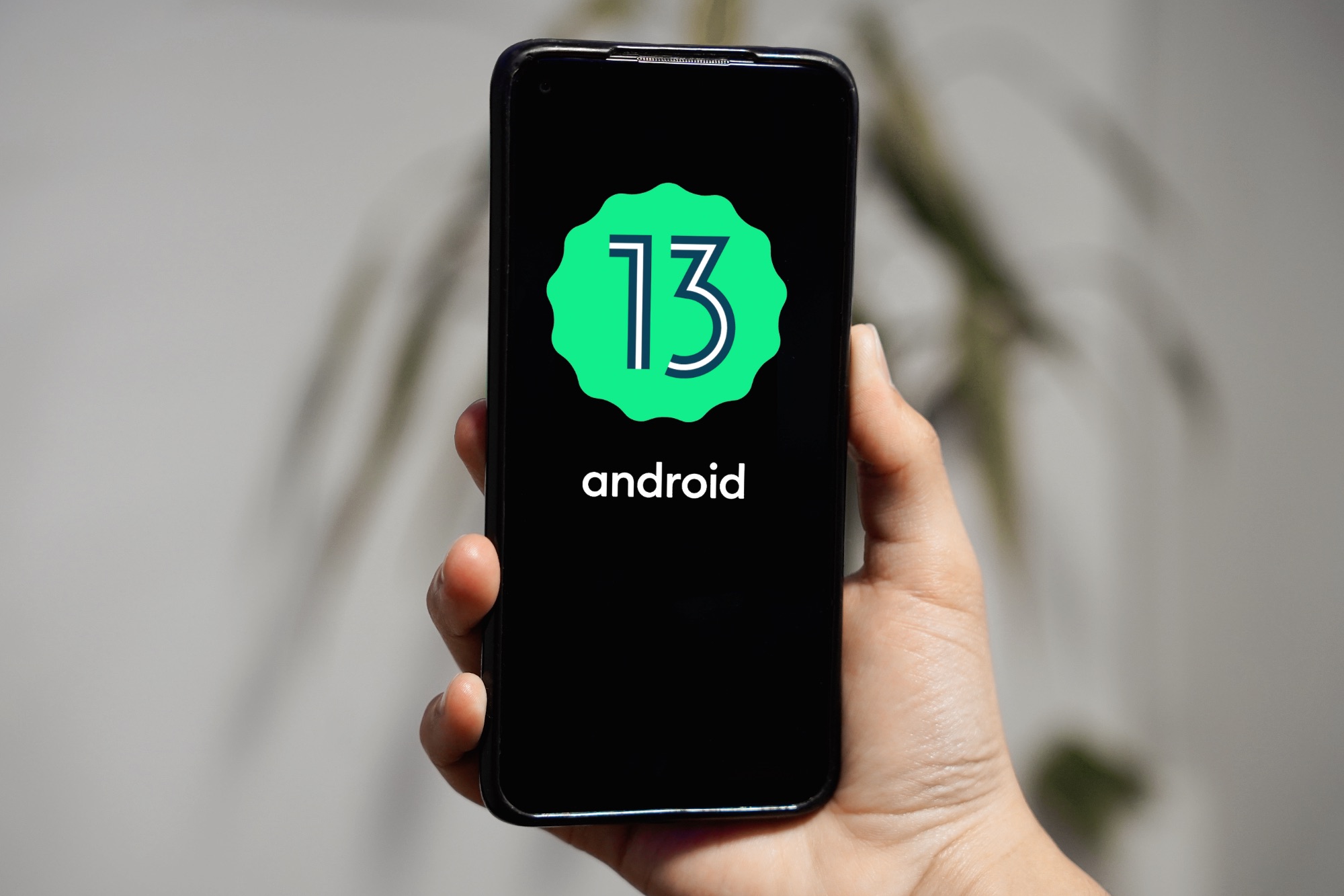 Android 13 dopiero we wrześniu?