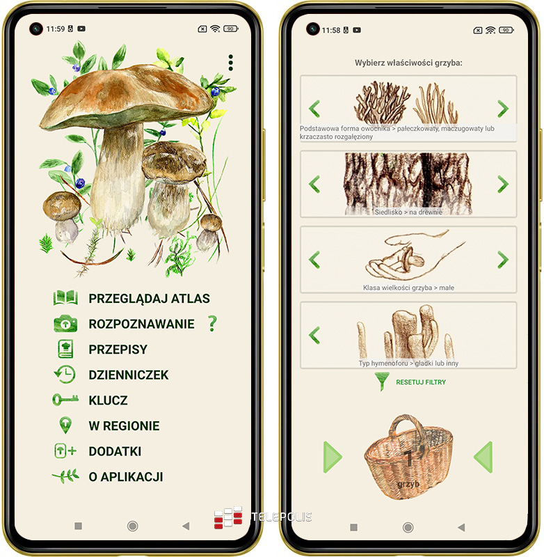 Ekran główny i klucz oznaczania grzybów