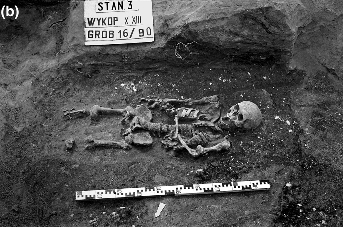 Sensacja w Wielkopolsce. Znaleziono osobliwy szkielet człowieka