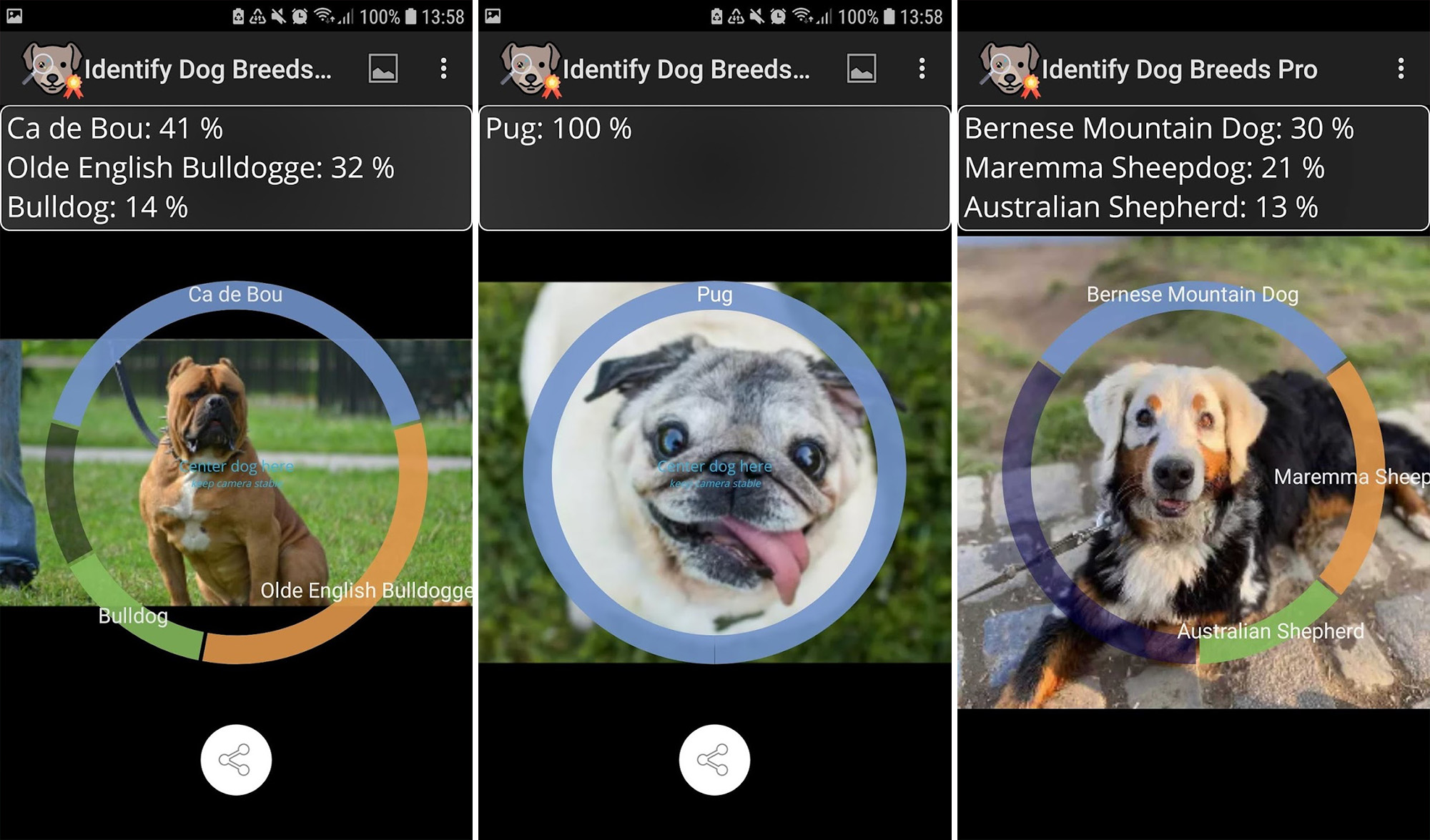 Zidentyfikuj rasy psów za darmo w Google Play
