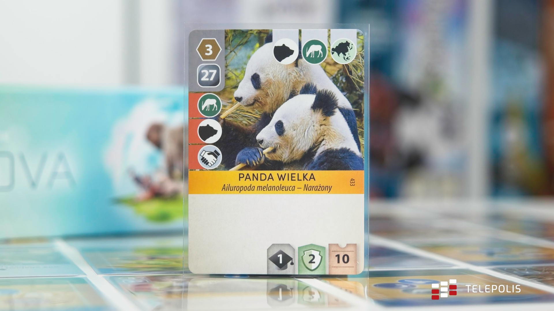 Ark Nova – zbuduj ZOO i uratuj pandy!