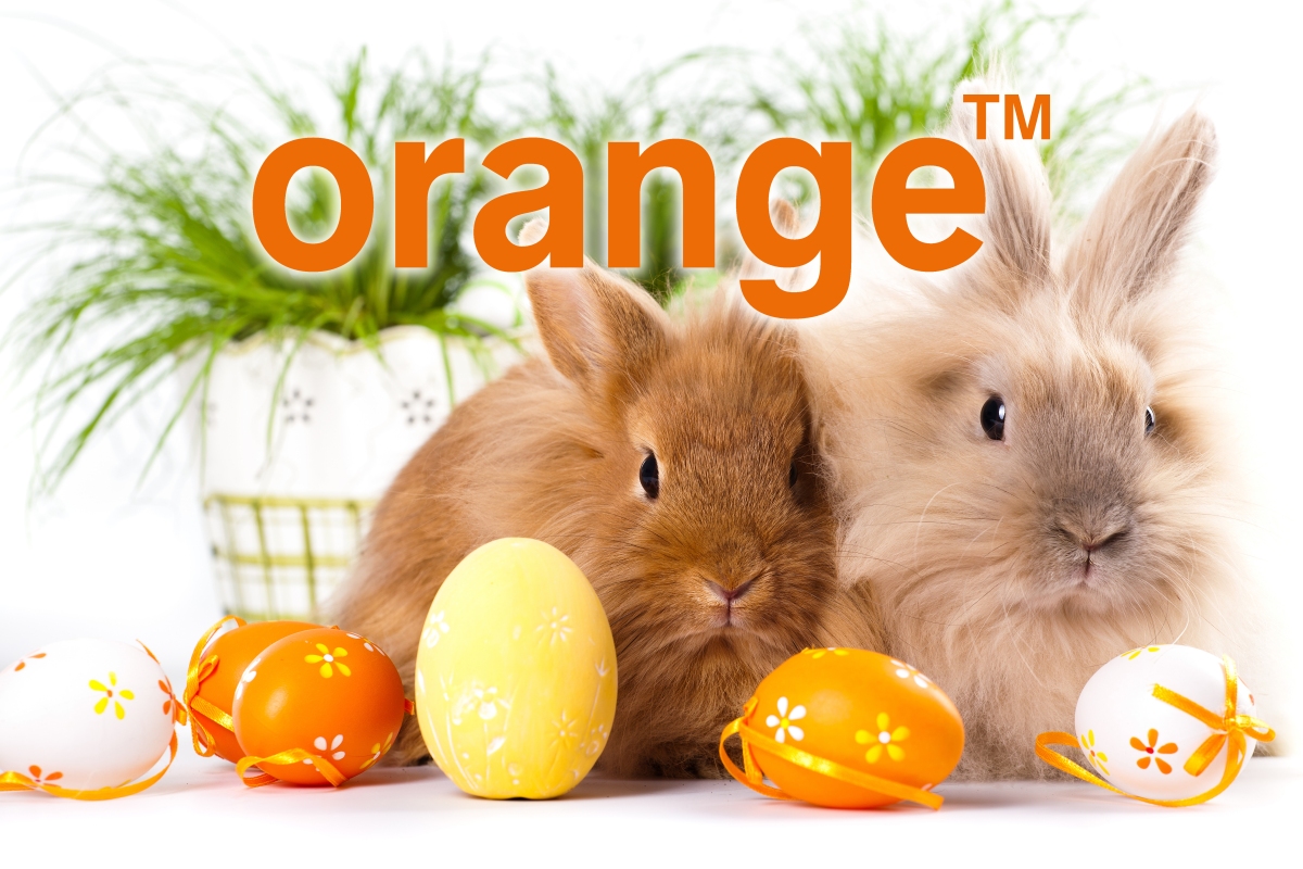 Wielkanocny zajączek Orange przynosi tańsze smartfony