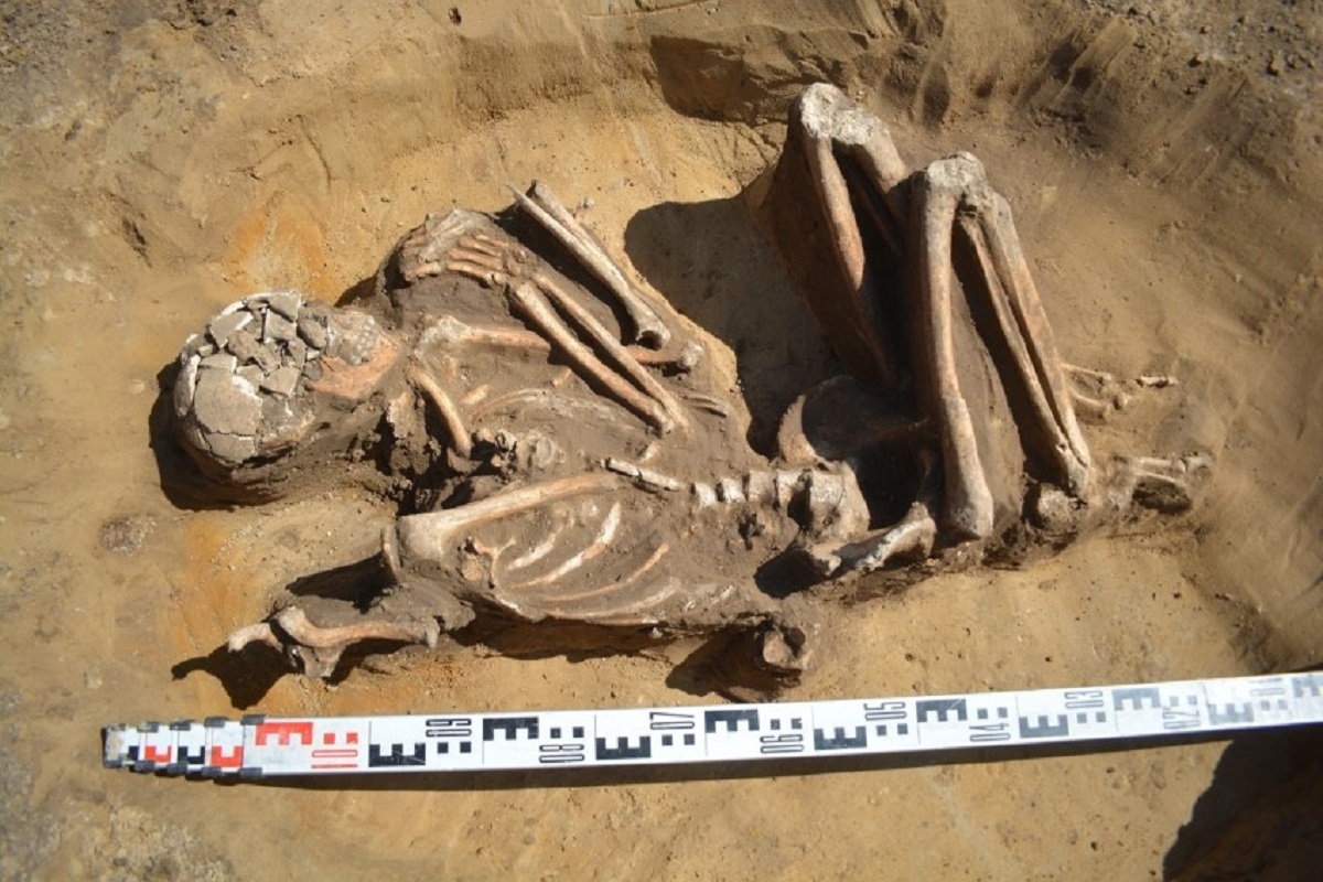 Fenomen pod Krakowem. Wykopano szkielet sprzed 7 tys. lat