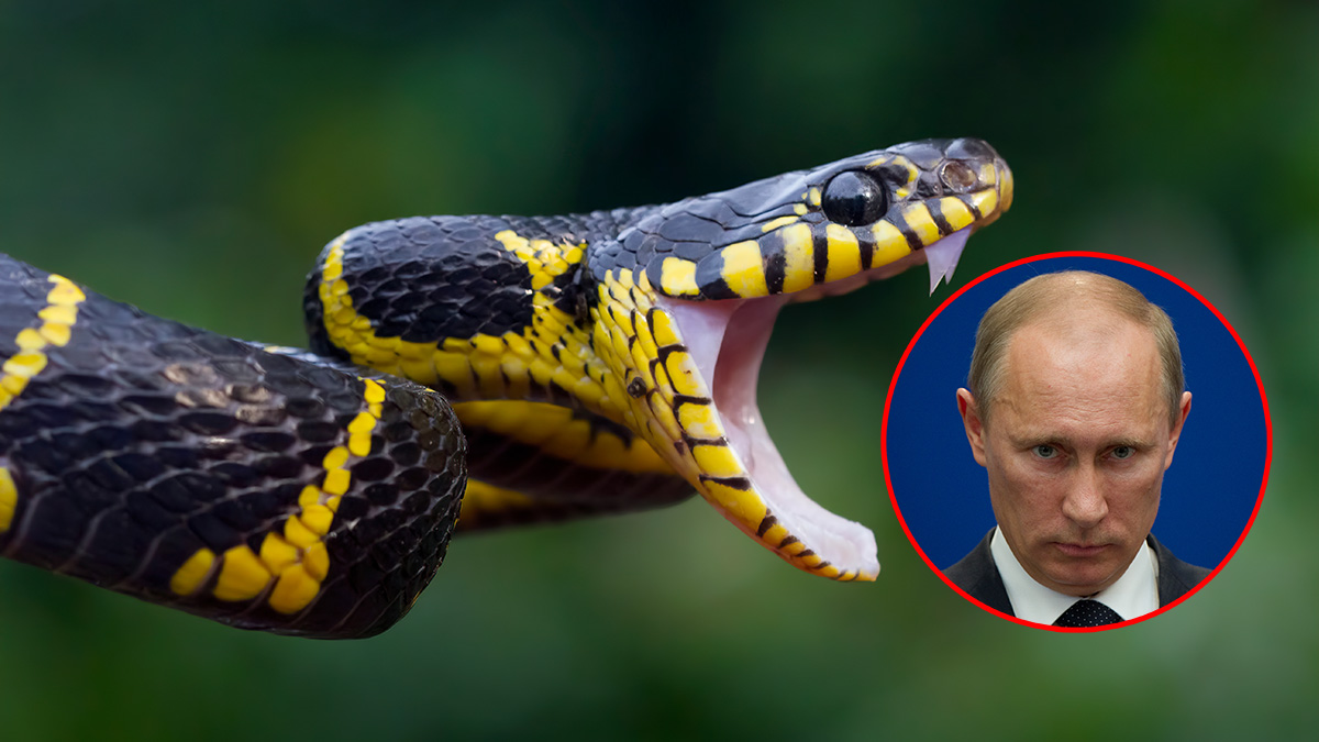 Rosyjski wąż już nie będzie syczeć. Groźne narzędzie unieszkodliwione