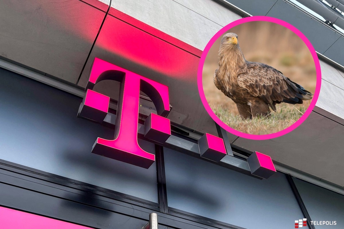 T-Mobile ma ambitny plan, chodzi o ptaki
