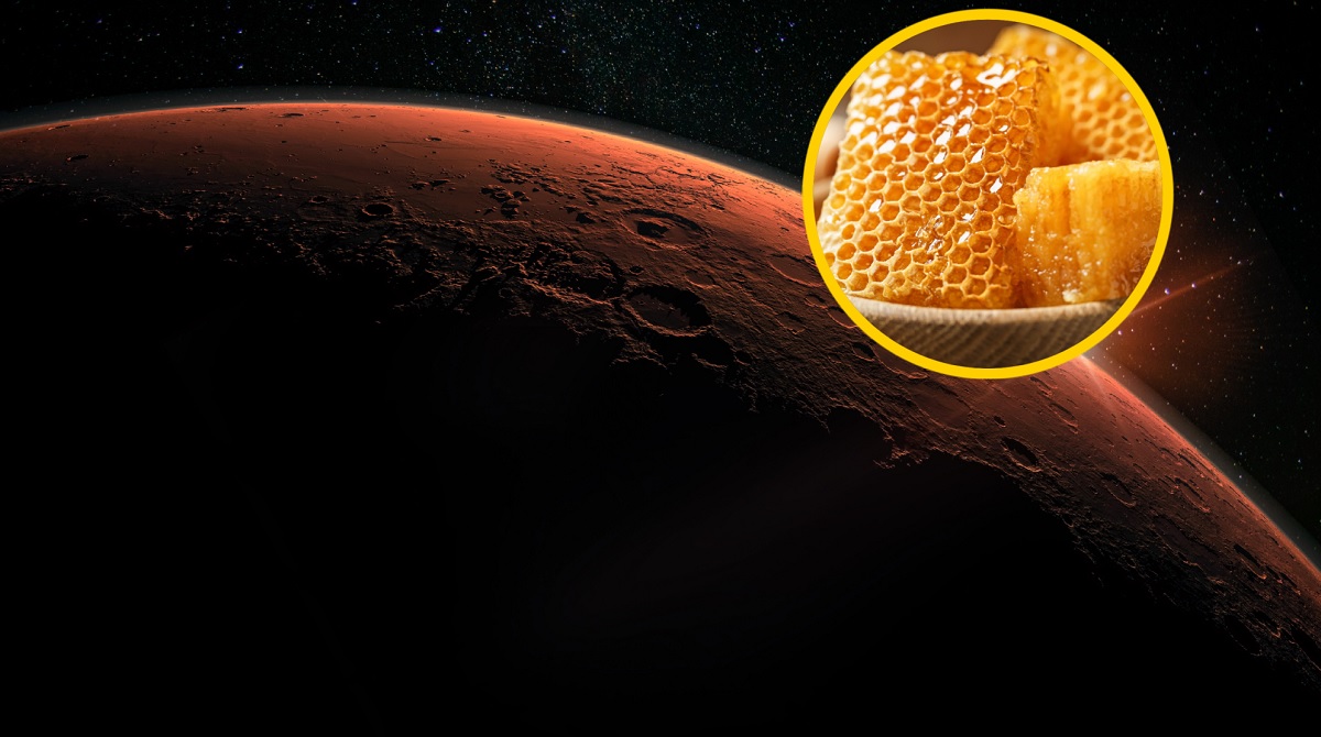 Fenomen na Marsie. Znaleziono plaster miodu. Tylko spójrzcie