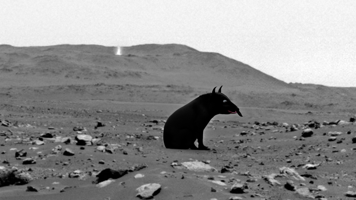 Sensacja na Marsie. Wszystko nagrała kamera