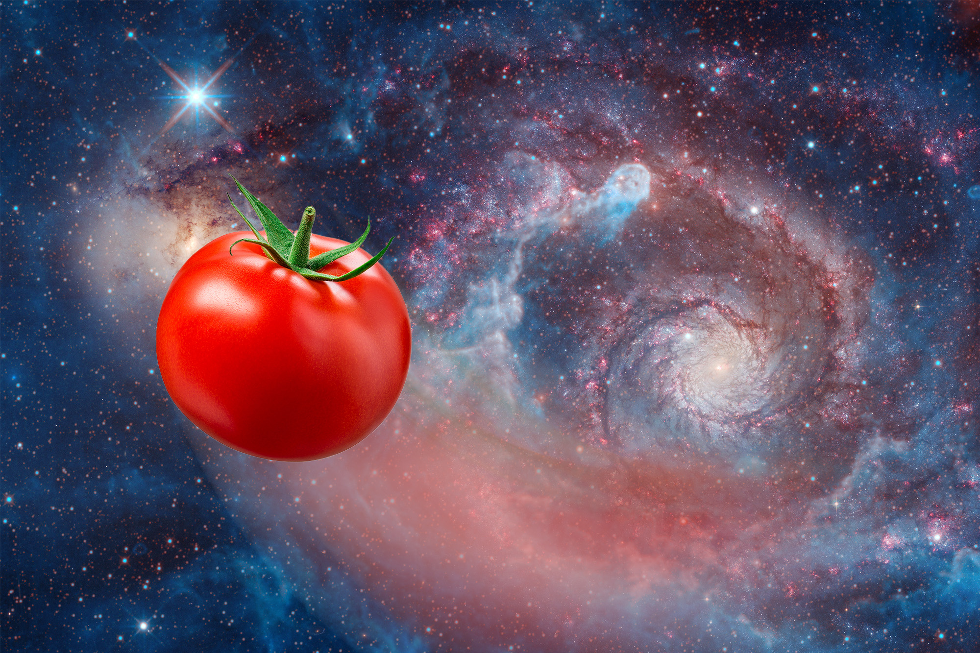 Kosmiczne jaja w rzeczywistości. Astronautom zaginął pomidor