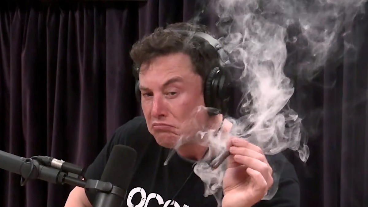 Elon Musk się naćpał i przekonuje, że ludzie powinni się cieszyć