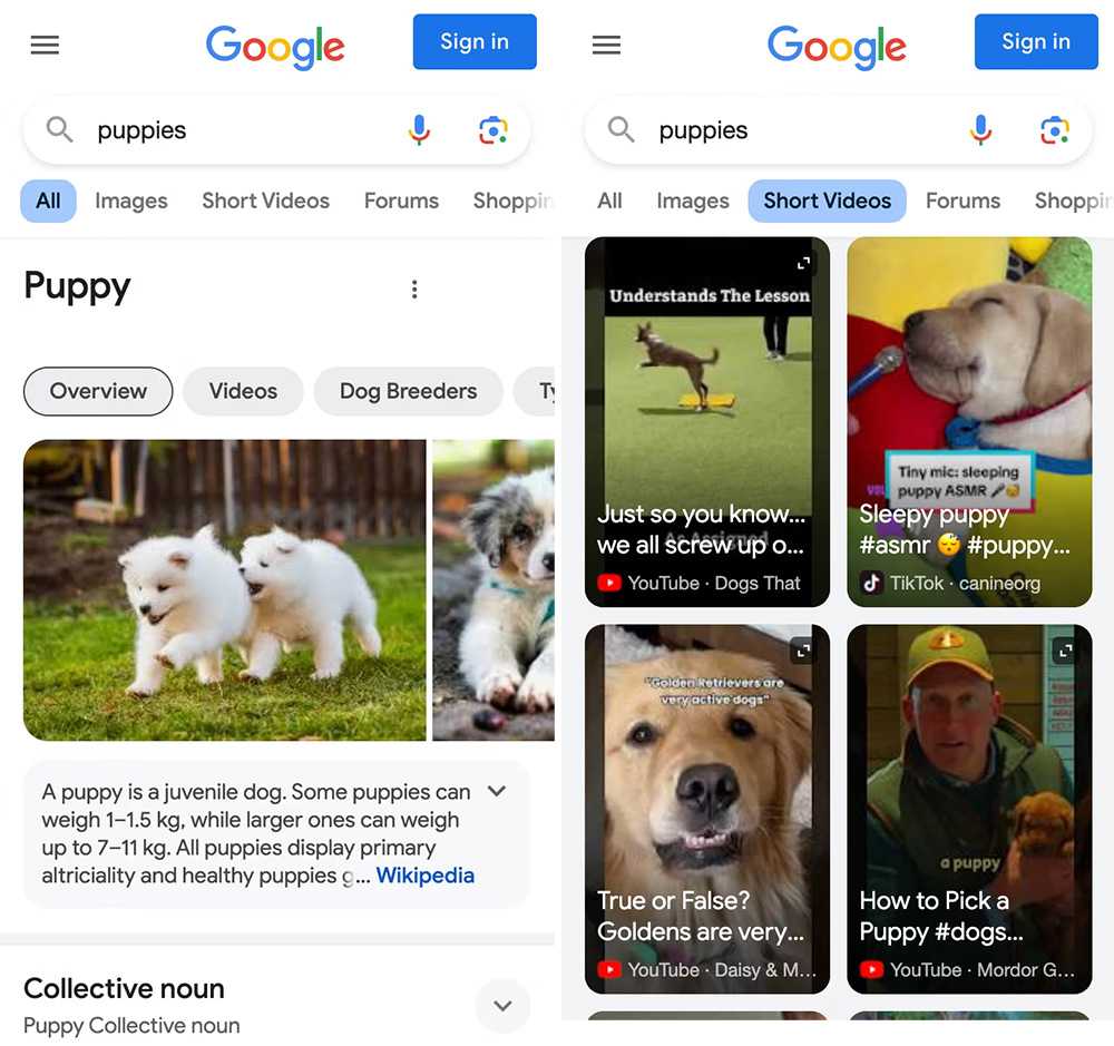 Wyszukiwanie Shortów w Google na Androidzie