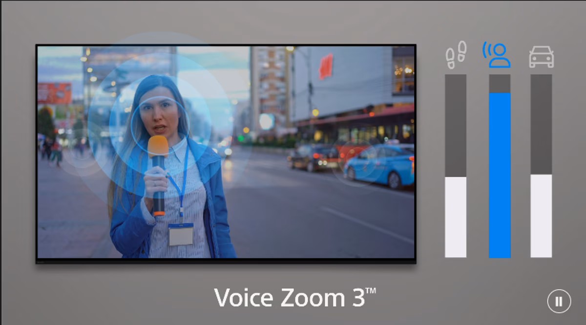 Sony Bravia voice zoom