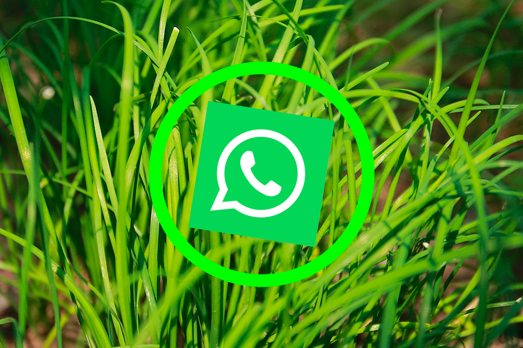 WhatsApp zmienia szaty