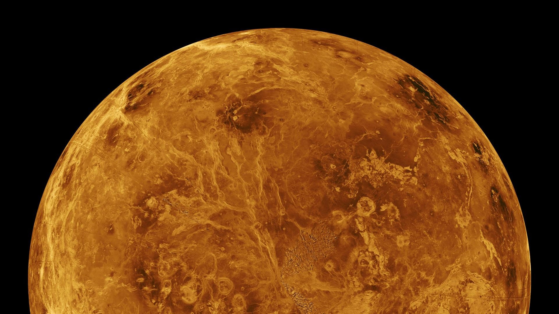 Wenus ślady życia